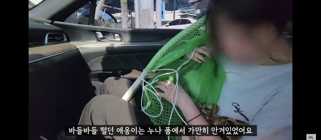 가족들 몰래 고양이를 갖다버린 아빠 | 인스티즈