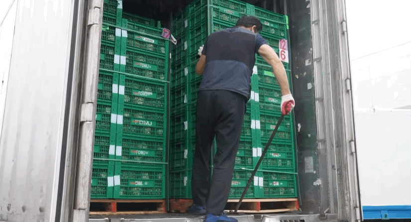 델몬트 파인애플 공장 견학🍍🤓 | 인스티즈