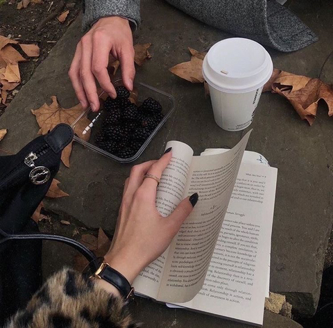 가을엔 따뜻한 라떼 한 잔과 함께 책을 읽어볼까요 ☕️📖 | 인스티즈