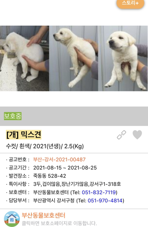 사랑이 느껴지는 포인핸드의 담당자들 | 인스티즈