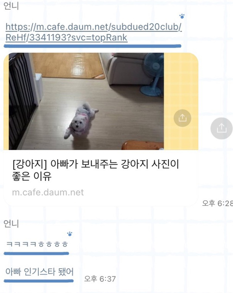 [강아지] 아빠가 보내주는 강아지 사진이 좋은 이유 | 인스티즈