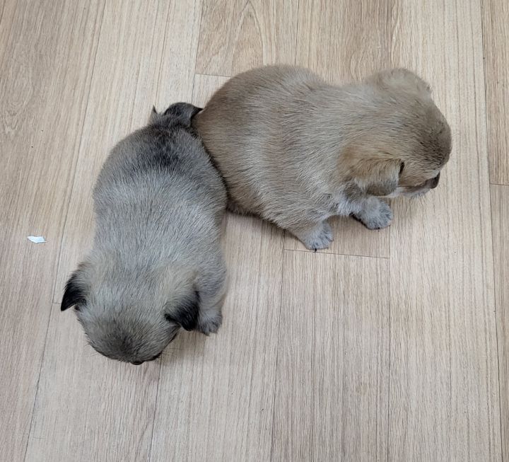 (공지라니... ++추가)새로생긴 회사 복지.. 미쳐서 도저히 일을 못하겠네.. (추가....)++추가 | 인스티즈