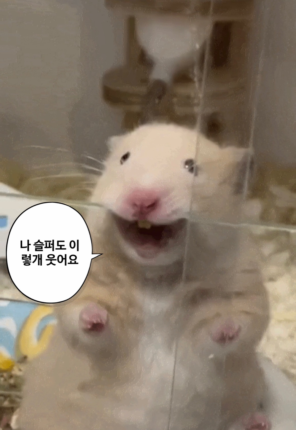 밥도둑 이미지