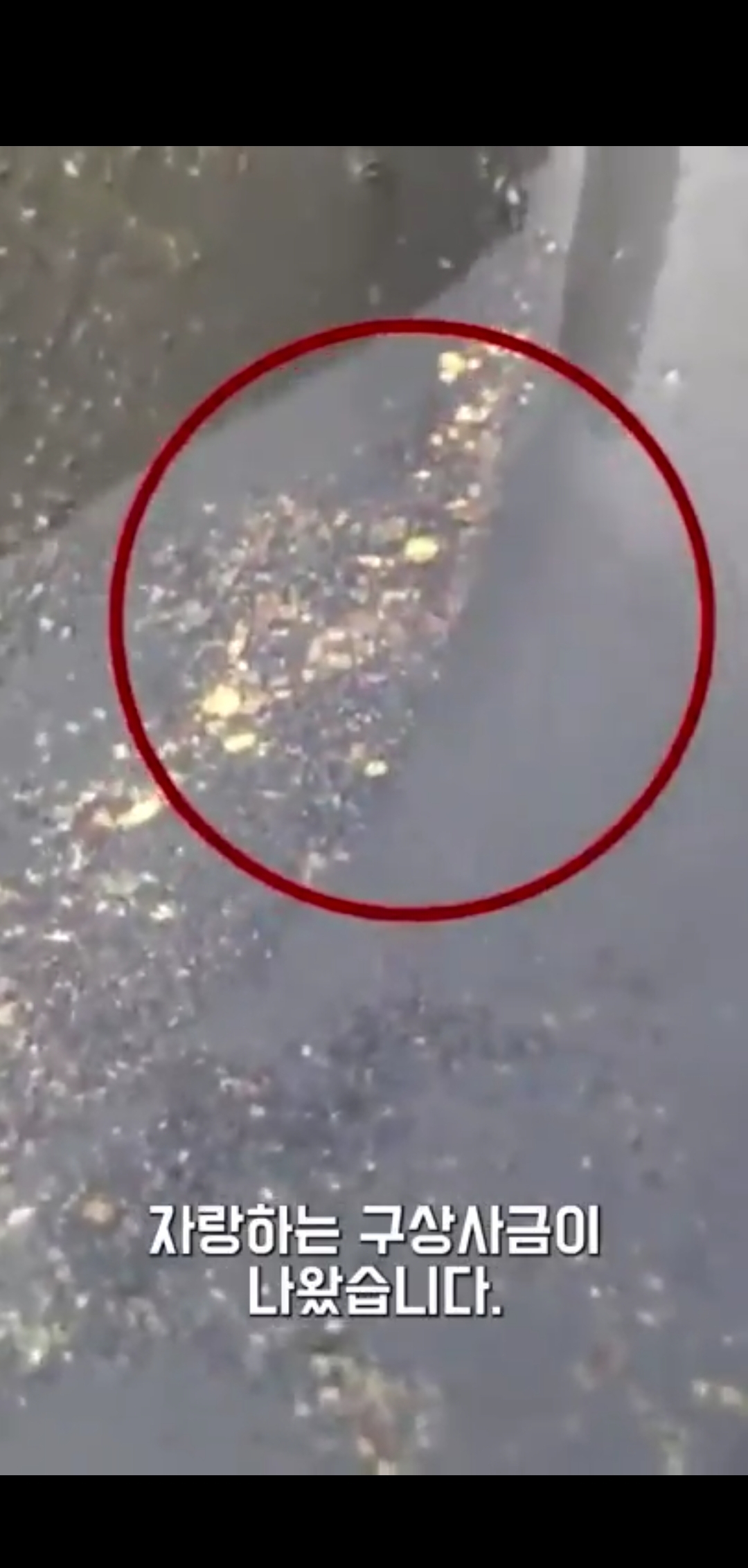 그 많던 신라의 황금들은 어디로 갔을까? | 인스티즈