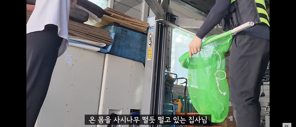 가족들 몰래 고양이를 갖다버린 아빠 | 인스티즈