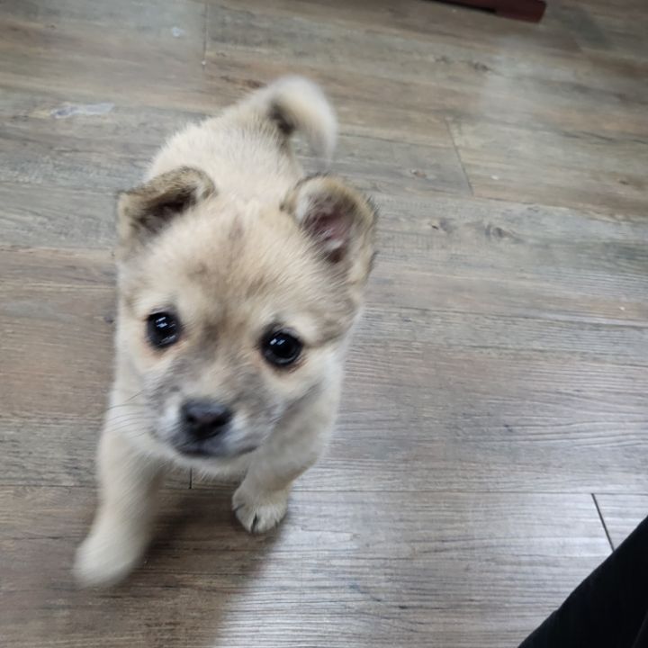 (공지라니... ++추가)새로생긴 회사 복지.. 미쳐서 도저히 일을 못하겠네.. (추가....)++추가 | 인스티즈