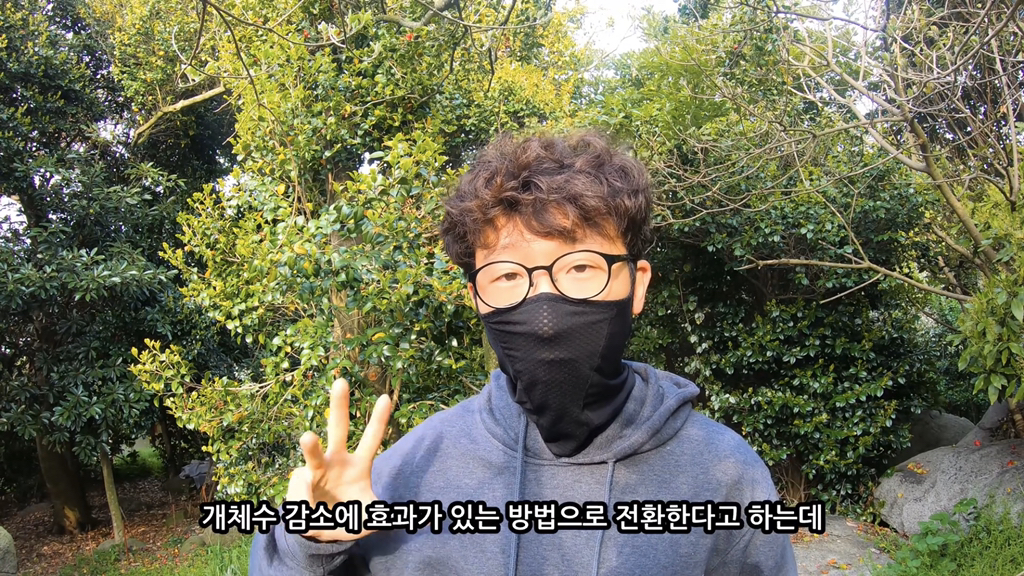 고양이가 자연생태계에 끼치는 심각한 영향(새 사체사진있음) | 인스티즈