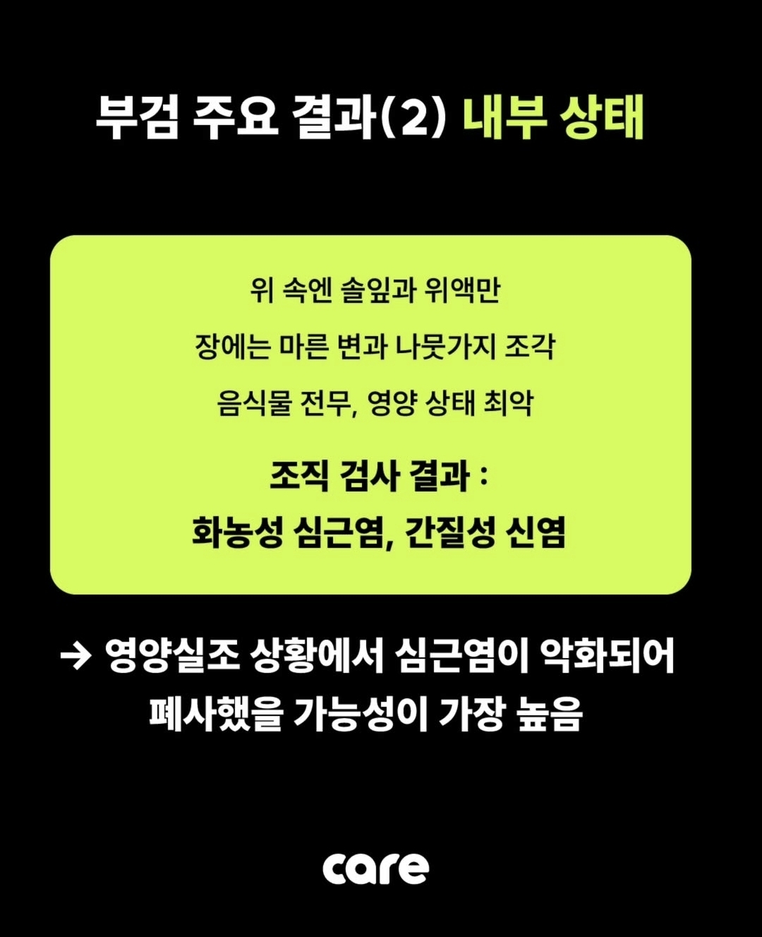 부검한 아기 길고양이 뱃속에는 가는 나뭇가지만.. | 인스티즈
