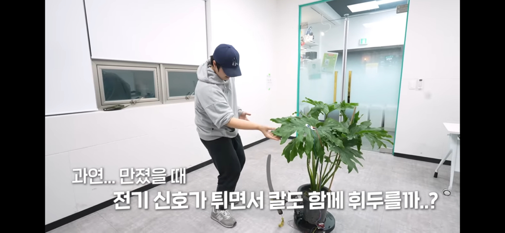 역대급 대충격이였던 식물실험 | 인스티즈