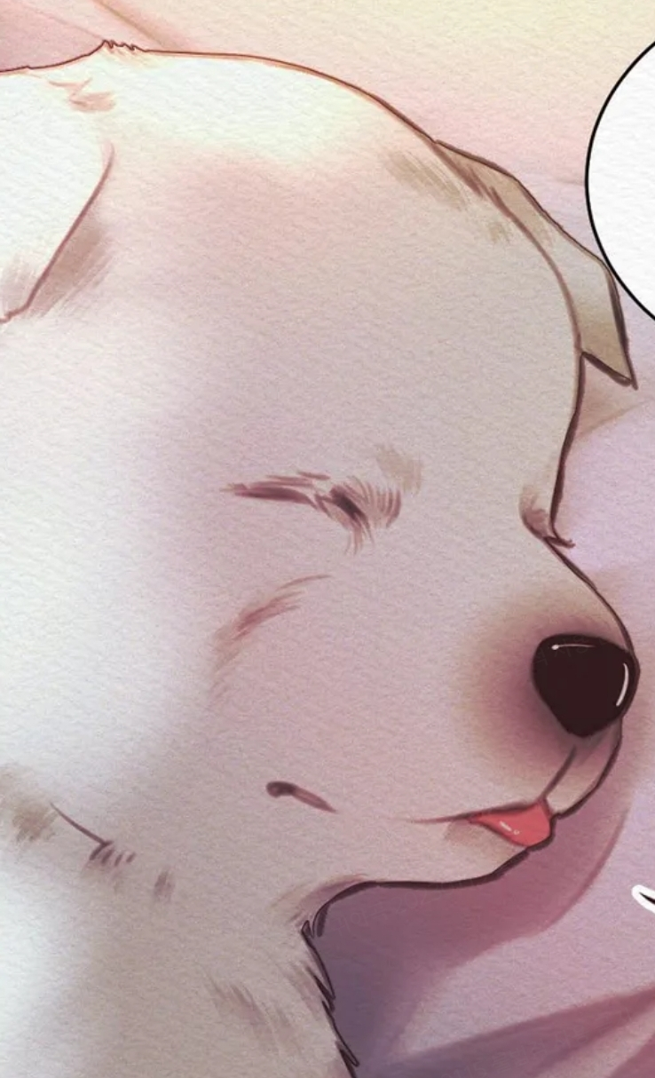 한복과 댕댕이에 진심인 거 같은 BL 웹툰 | 인스티즈