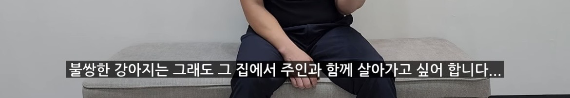 강아지가 학대하는 주인에게 꼬리를 흔드는 이유 | 인스티즈