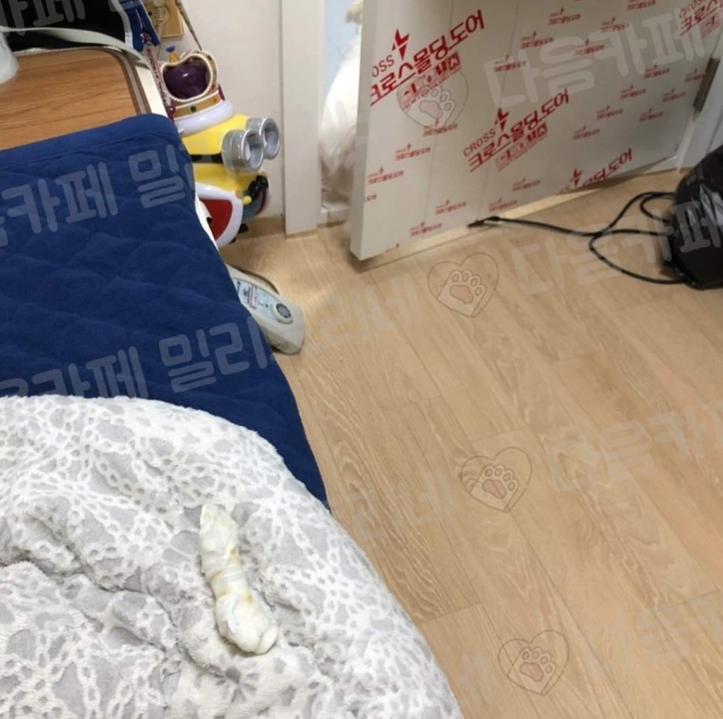 짬지zone.jpg | 인스티즈