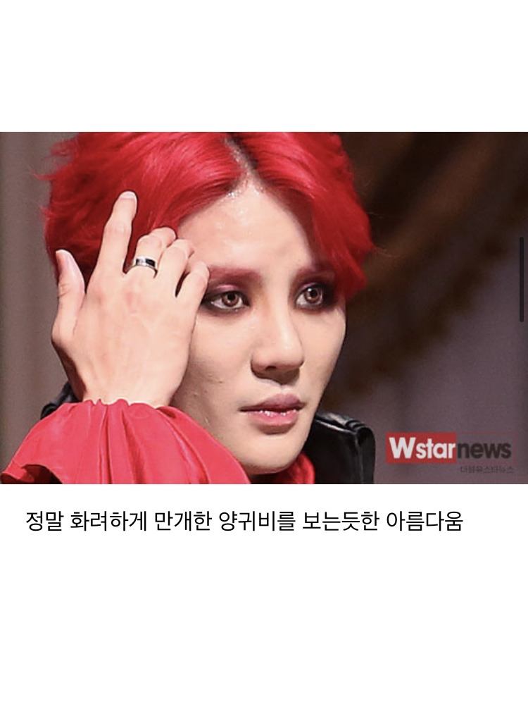 시아준수 팬이 연뮤갤에 쓴 시아준수 양귀비썰. txt | 인스티즈