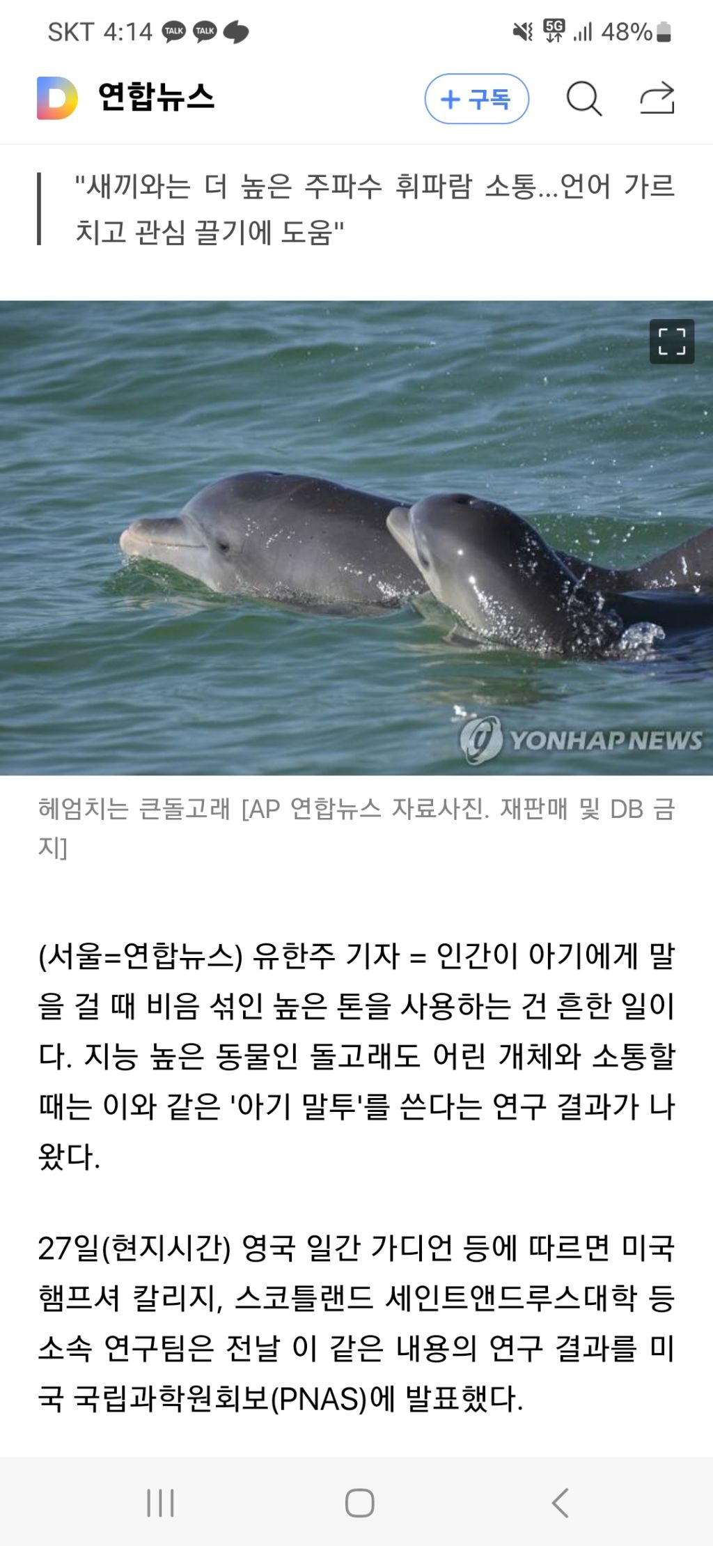 "엄마 여기 있져"…돌고래도 새끼에게 '아기 말투' 쓴다 | 인스티즈
