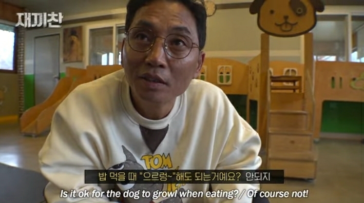 개농장에서 구출됐던 강아지 꽃님이의 버르장머리 없어진 최근 모습 | 인스티즈