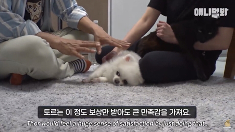 밤낮없이 집 도어락을 누르는 누군가때문에 고민인 부부 | 인스티즈