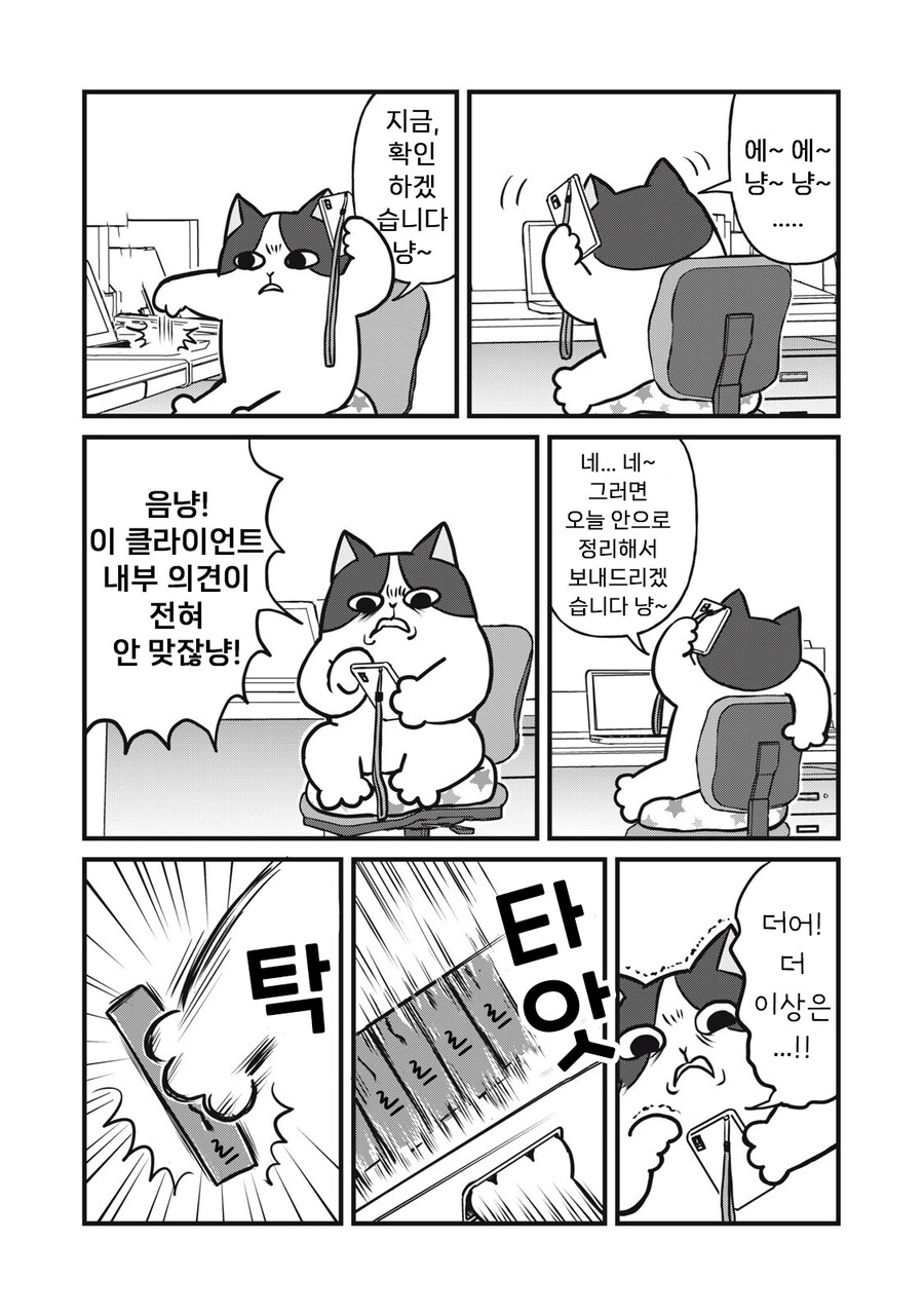 좋아하는 인간 부탁에 힘낸 길냥이 | 인스티즈