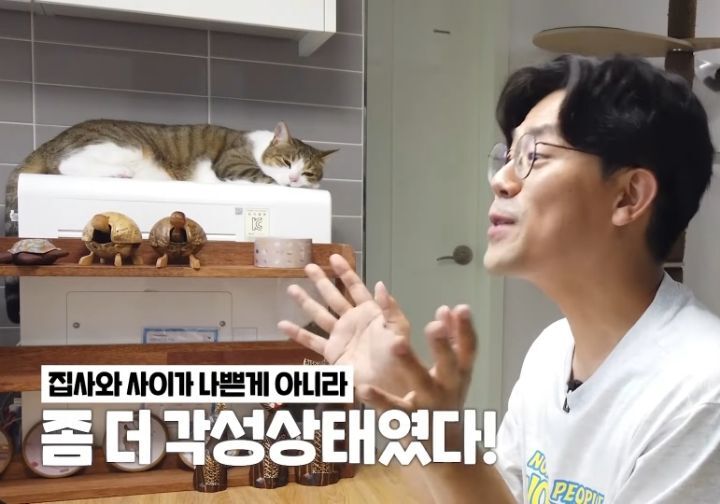 고양이 벽짚 챌린지는 진짜 지능과 관련 있을까? | 인스티즈