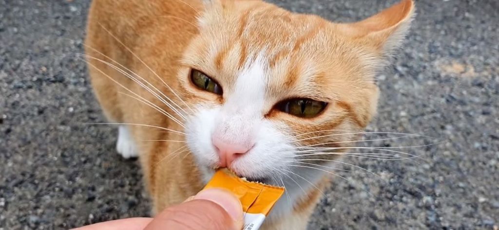 6098b92865c9226b16e719b541880a569a22056f