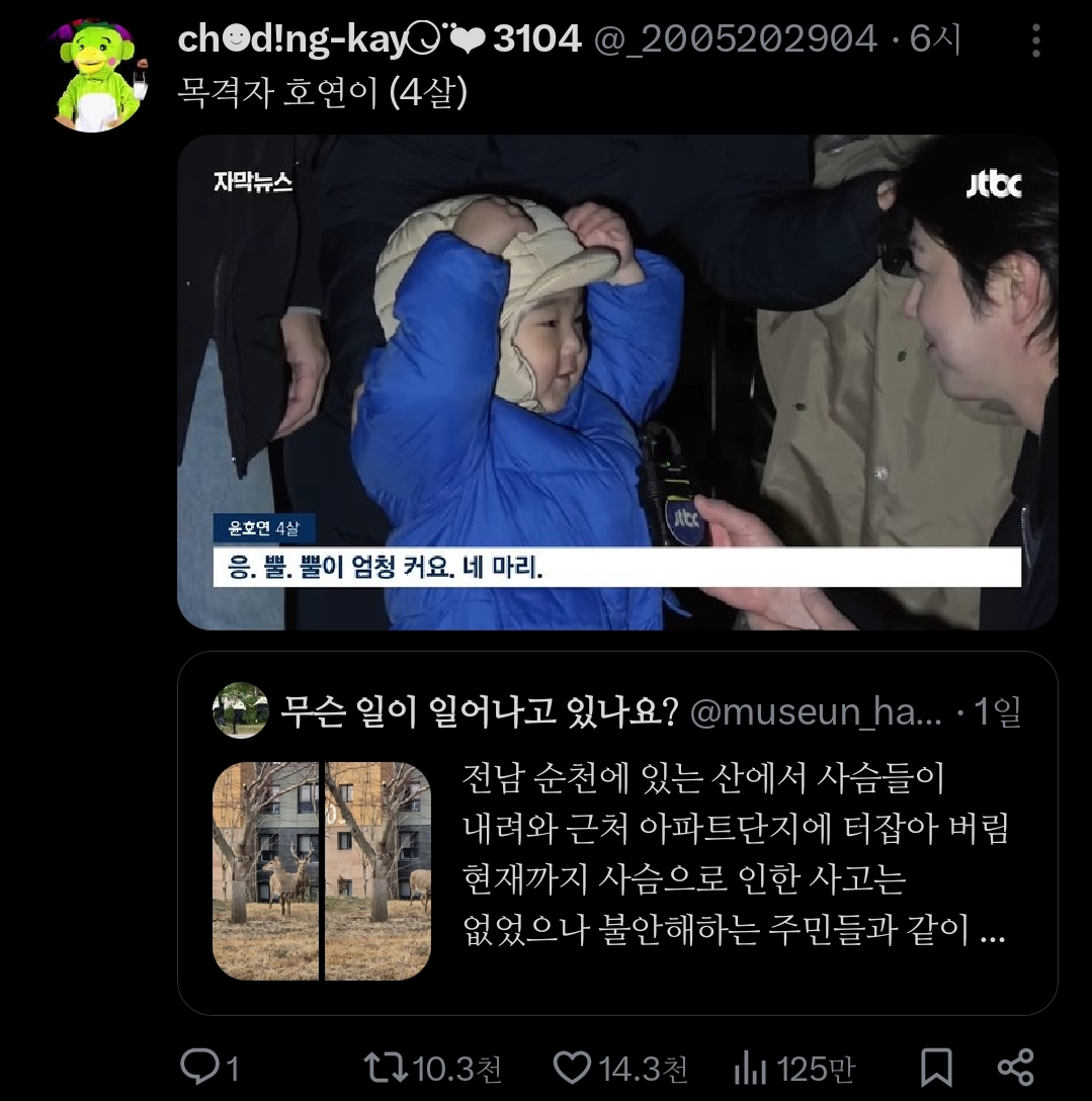 거의 사슴의 지상낙원 됐다는 전남 순천시.jpg | 인스티즈