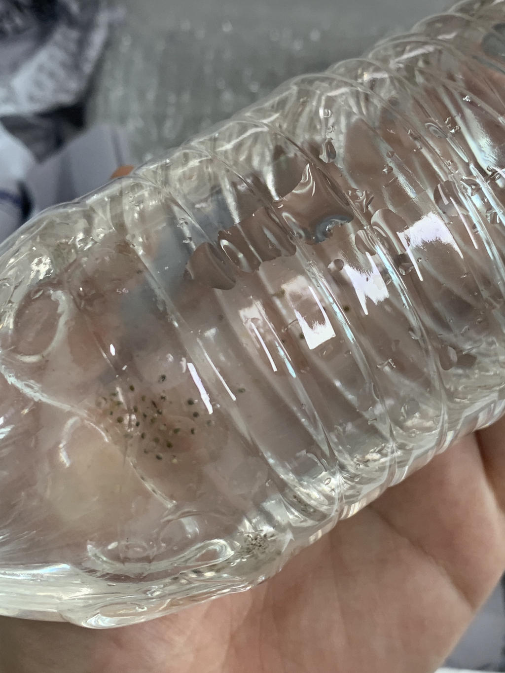 💚청개구리 키우면서 알게된 TMI💚 | 인스티즈