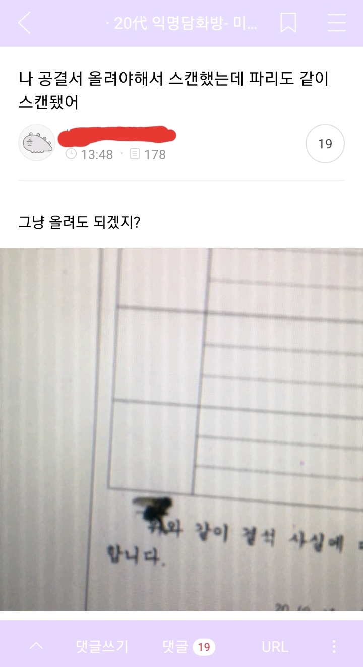 갤러리 짤털 짤털 짤털 짤털 짤털 짬털 (100장 깍 채움) | 인스티즈