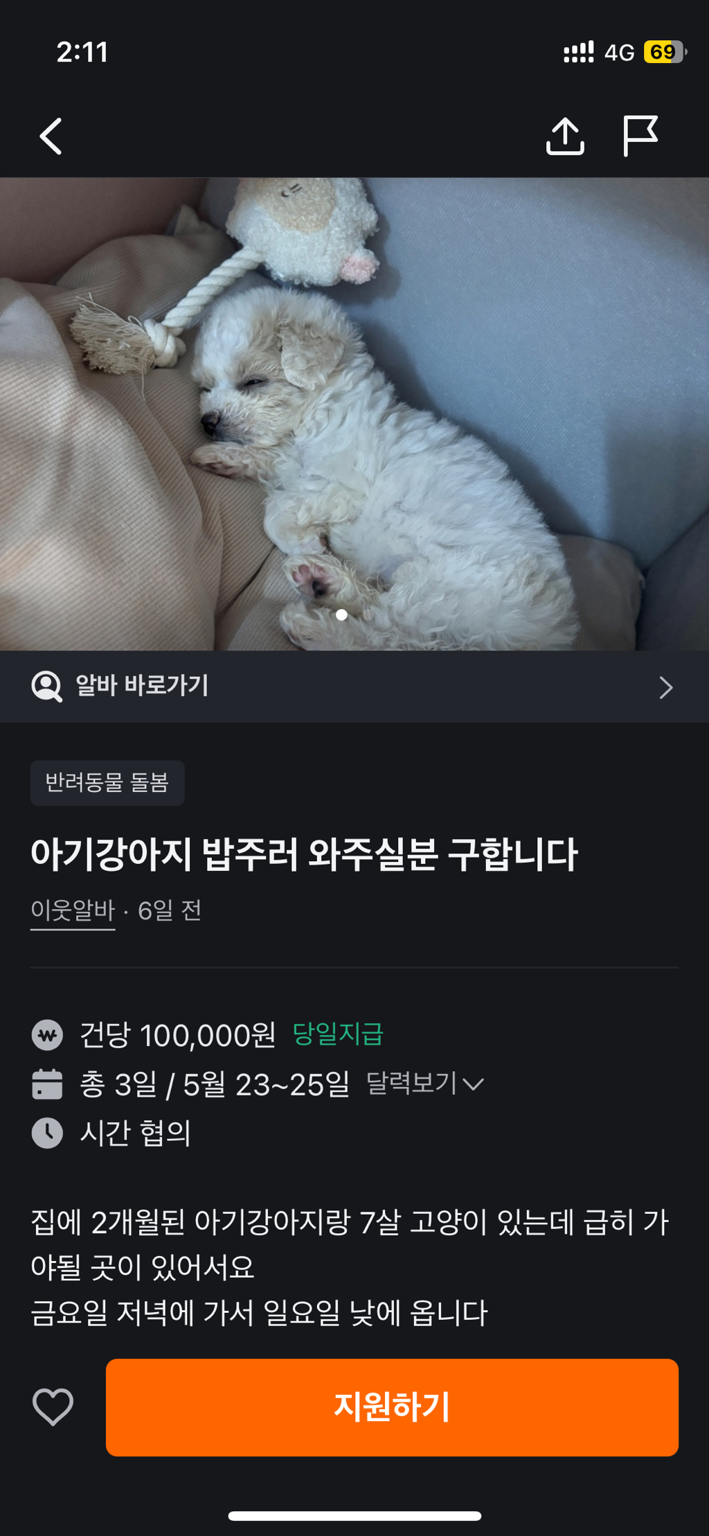 아기강아지 밥주러 와주실분 구합니다. 당근 지원자 462명 | 인스티즈