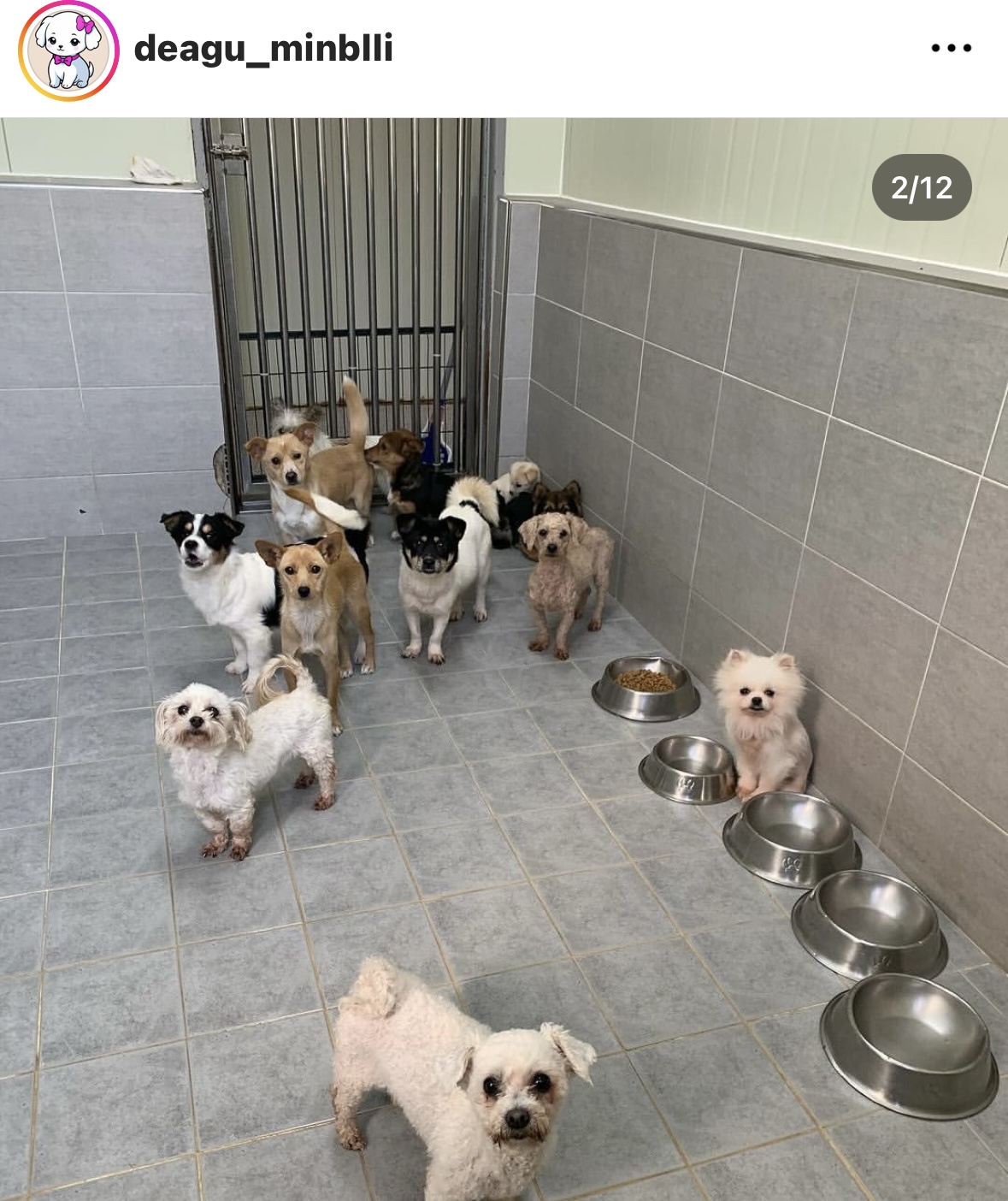 사람을 이렇게나 좋아하는데.. 곧 안락사된대요.... | 인스티즈