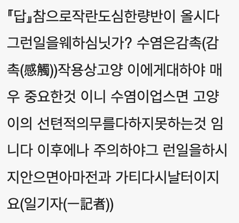 맘마가먹고십흔고양이 | 인스티즈