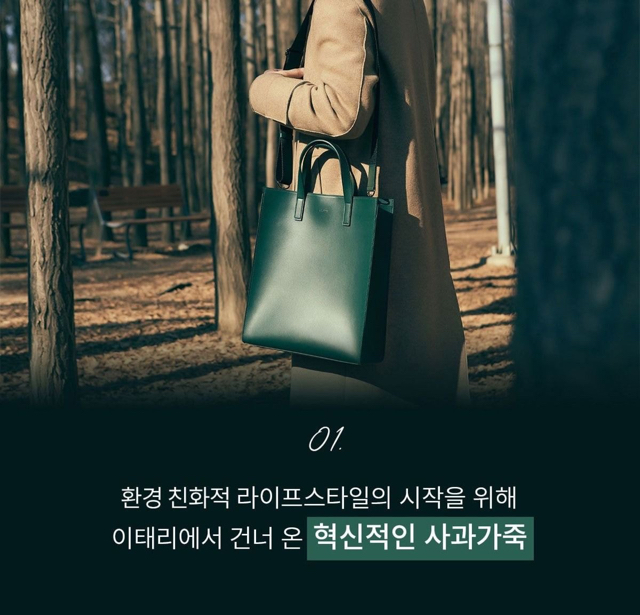 신기해서 올리는 사과껍질로 만든 가방.jpg | 인스티즈