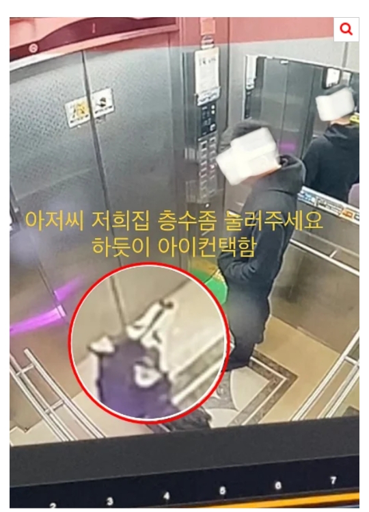 [네이트] 개가 혼자 엘리베이터 타고 집까지 찾아옴 | 인스티즈