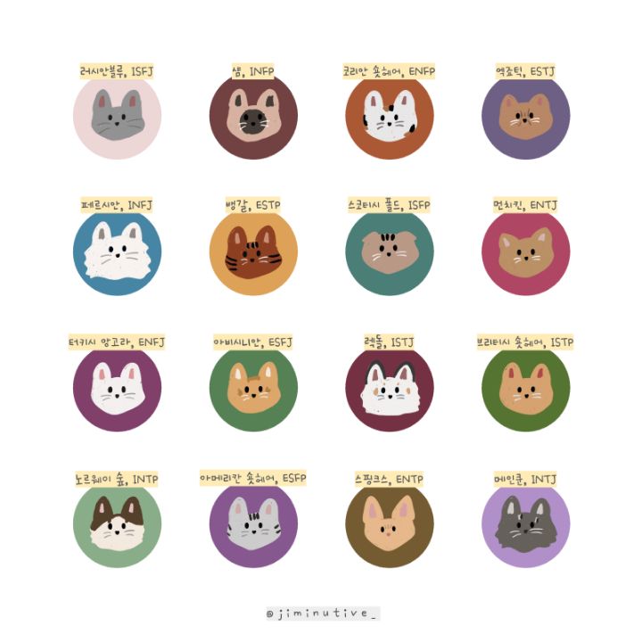 고양이로 태어난다면 mbti (+고양이mbti 추가) | 인스티즈