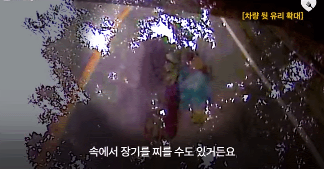 운전하다 댕줍하신 어느 운전자분 사연...ㅠㅠ | 인스티즈