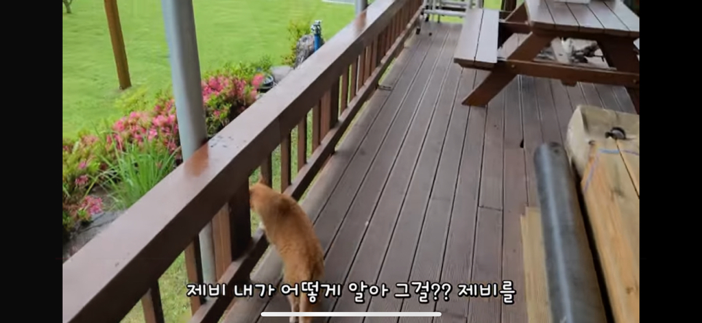 금은보화가 들어있는 박씨를 얼마나 받을지 궁금한 매탈남 | 인스티즈