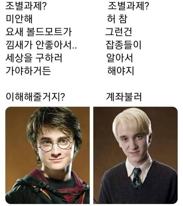 조별과제멤버 : 세상구하는 해리포터 vs 잡종무새 말포이 | 인스티즈