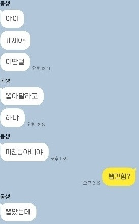남동생에게 비엘 프박을 뽑아달라고 해보았다.twt | 인스티즈