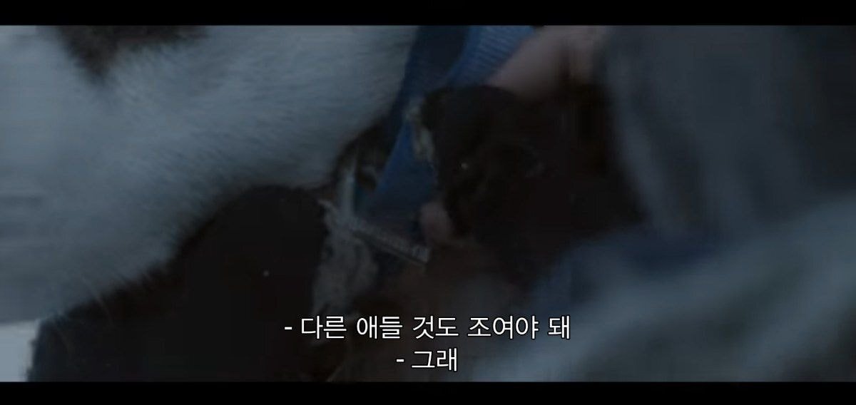 같이 남극 탐험하는 사람이 금방 돌아 온댔는데 폭풍으로 못온대 | 인스티즈