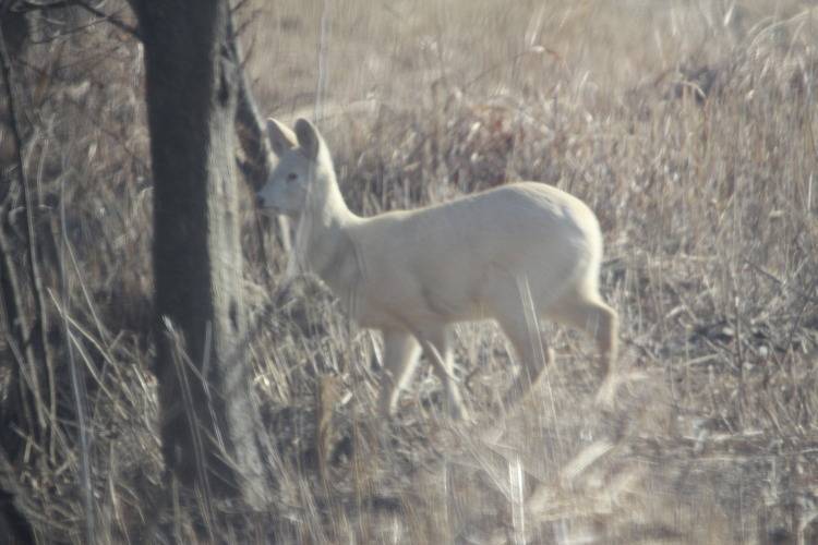 610de6dc5fd0e86c0aaa324e2bc4145b117d3531