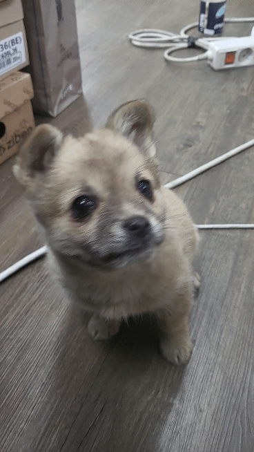 (공지라니... ++추가)새로생긴 회사 복지.. 미쳐서 도저히 일을 못하겠네.. (추가....)++추가 | 인스티즈