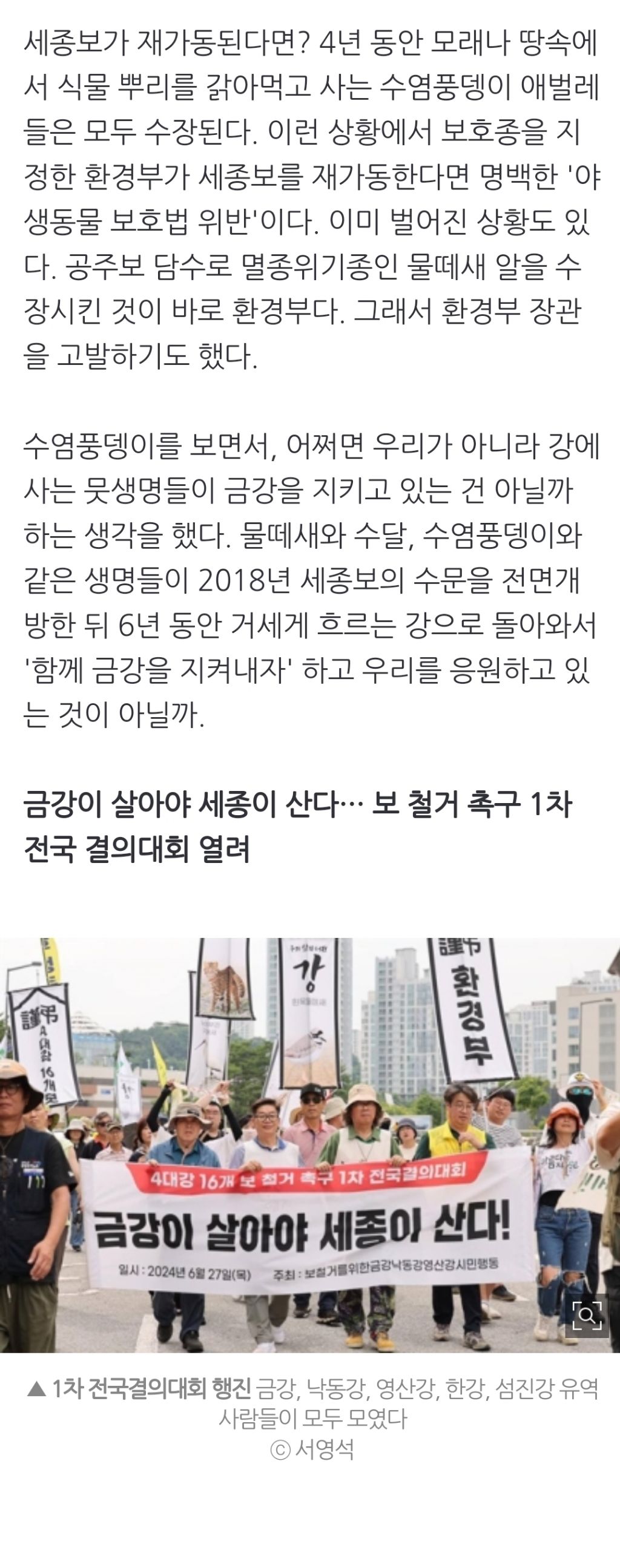 멸종위기종 1급 '수염풍뎅이'가 놀러왔다 | 인스티즈
