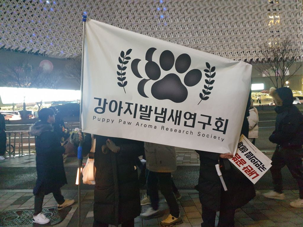 탄핵 시위= 대짱잼 깃발 대회 | 인스티즈