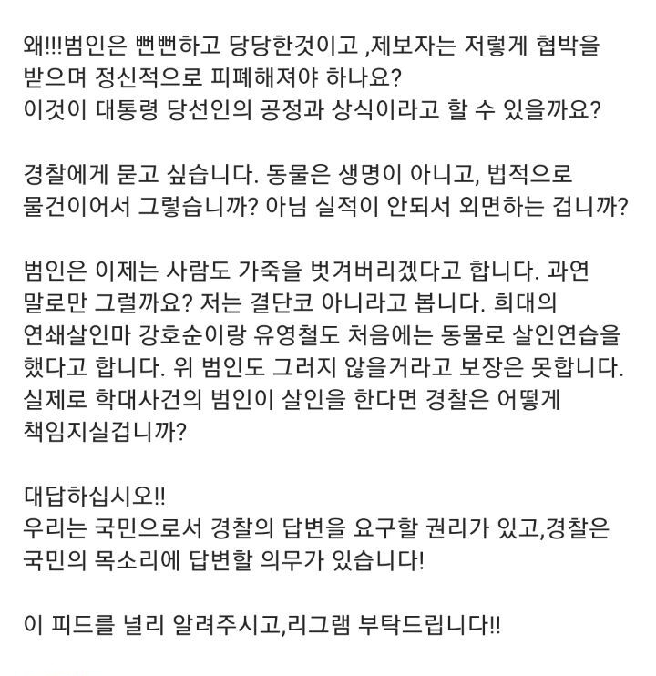 포항 고양이 살해범이 제보자한테 고양이처럼 가죽 벗겨주겠다 살해 협박중 🚨🚨🚨 | 인스티즈