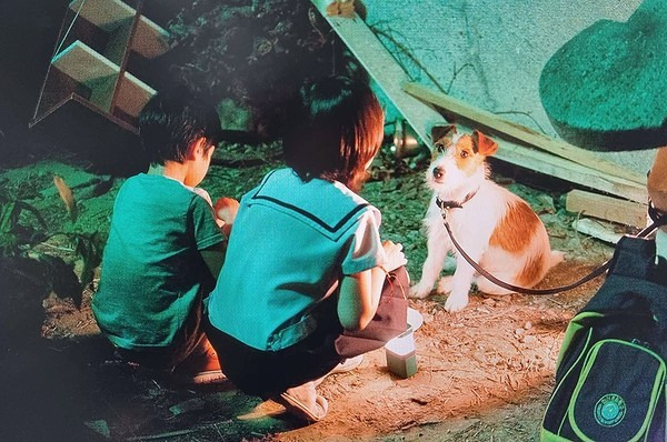 영화 "개를 훔치는 완벽한 방법" | 인스티즈