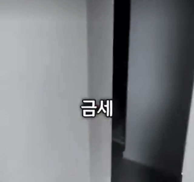 하루를 폐인으로 살아본 미성년자의 후기 | 인스티즈