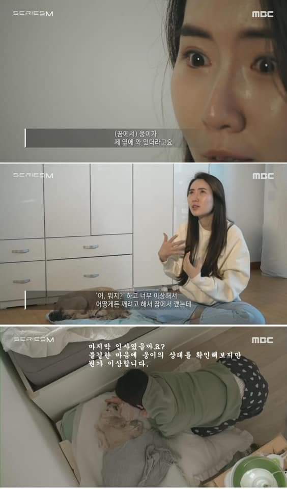 무지개 다리를 건넌다는 것 | 인스티즈