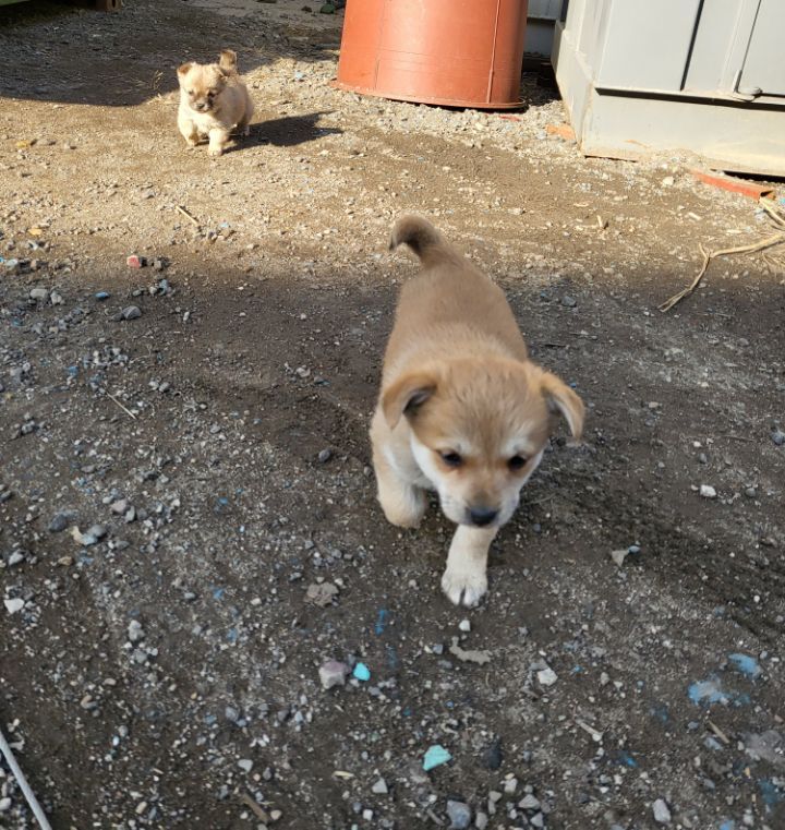 (공지라니... ++추가)새로생긴 회사 복지.. 미쳐서 도저히 일을 못하겠네.. (추가....)++추가 | 인스티즈