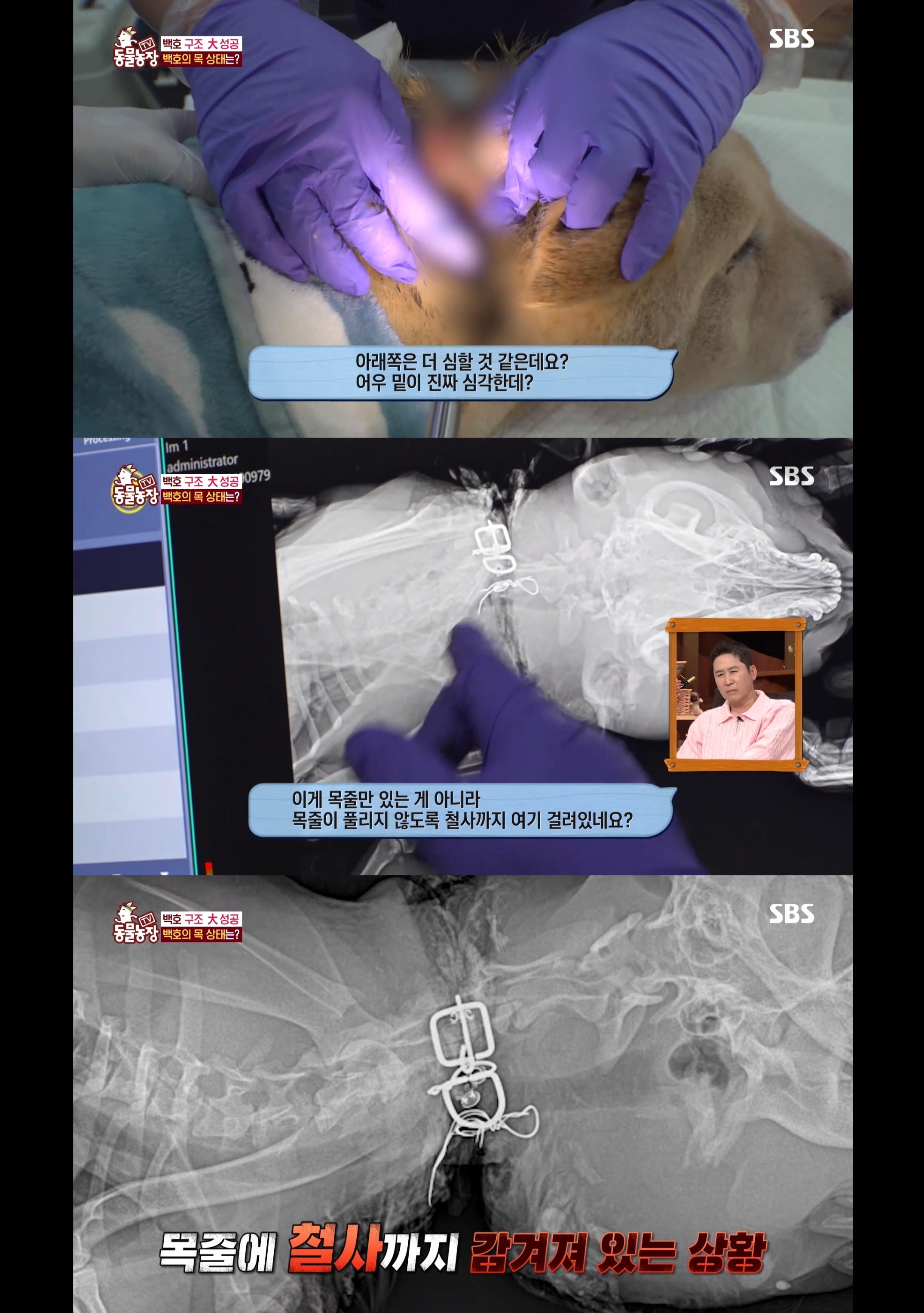 개가 너무 똑똑해서 역대급으로 구조 힘들었던 이번주 동물농장 방송.jpg | 인스티즈