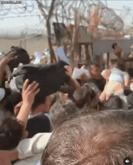 현재 애들이라도 탈출시키려고 노력하는 아프간 부모들 | 인스티즈