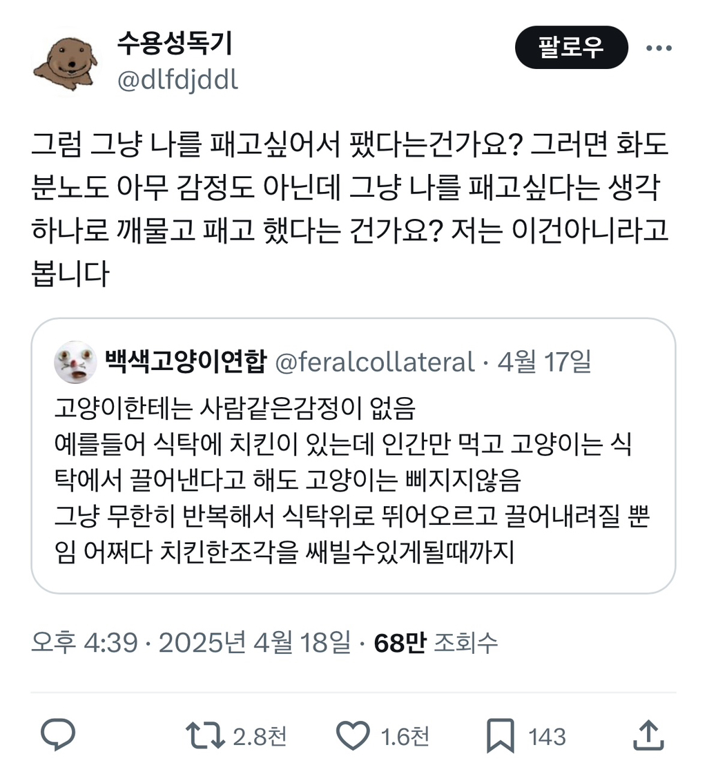 고양이한테 맞았다면 그건 그 순간 패고싶은 마음이 들어서 갈긴 거라고 | 인스티즈