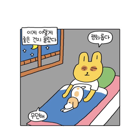 무기력하고 우울하기만 한 내가 새언니 카톡왔는데 어...이런 말투로 이런거 보내심....성취감을 가진다는건 일생의 중요한 사건이었다 | 인스티즈